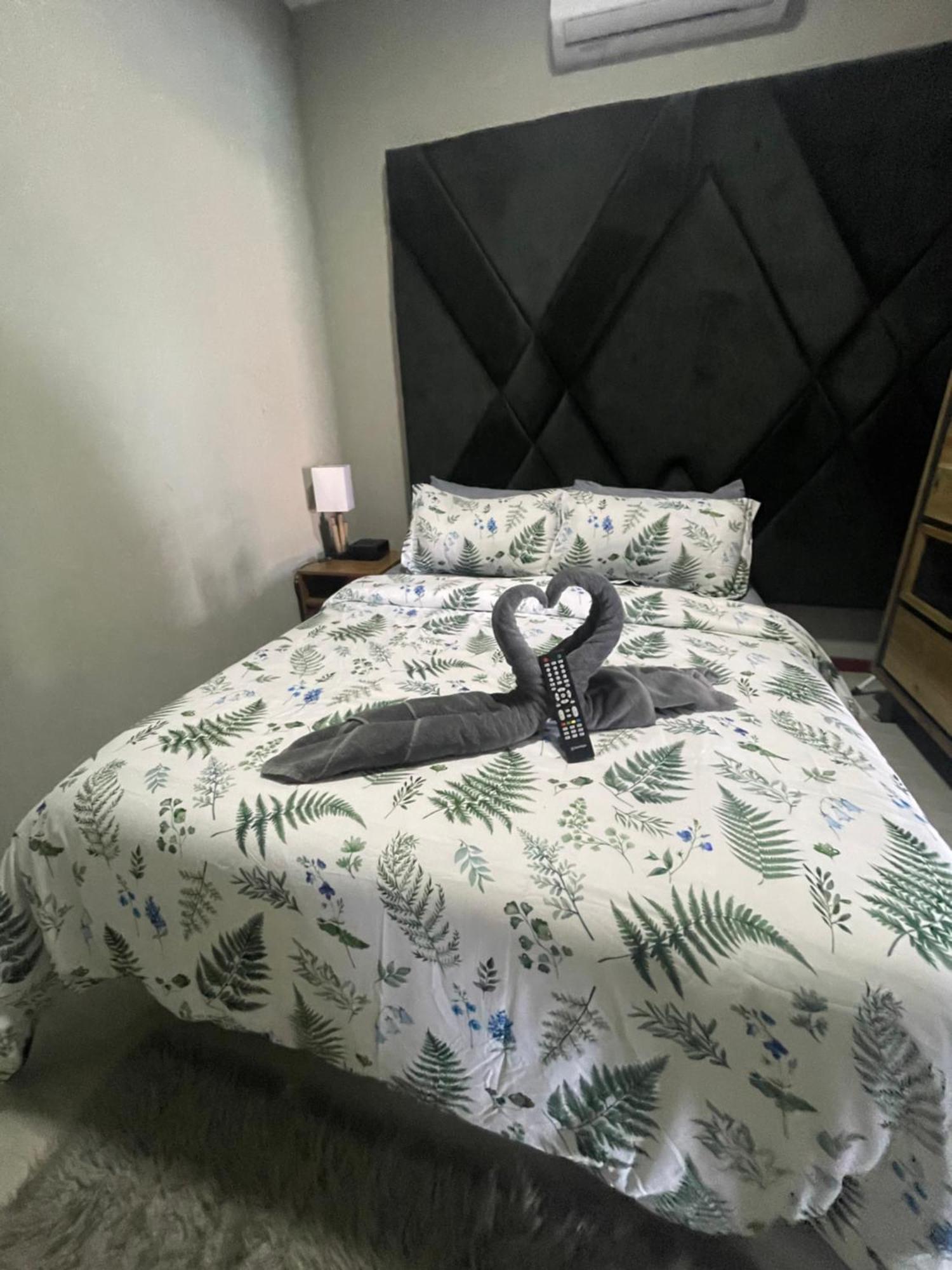 Pavema Apartments باراماريبو المظهر الخارجي الصورة